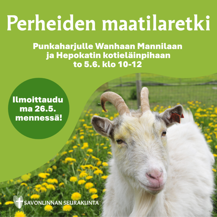 Lapsiperheiden maatilaretki Vuohi voikukkapellolla
