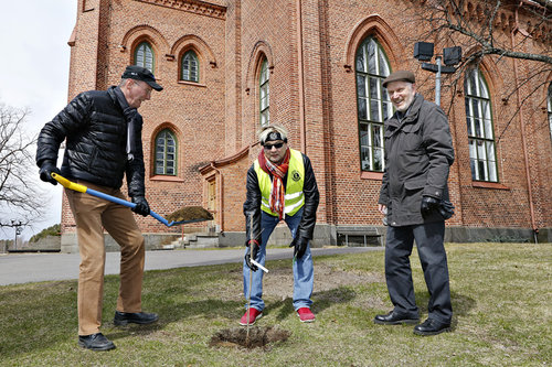 Muistotammen istutus Savonlinnan Kirkkopuistoon