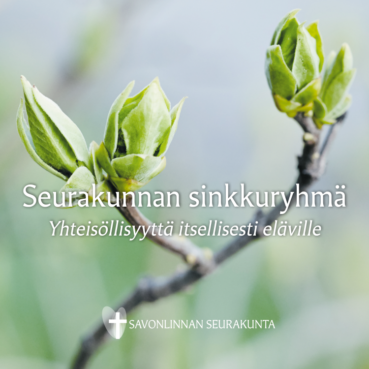 Sinkkuryhmä