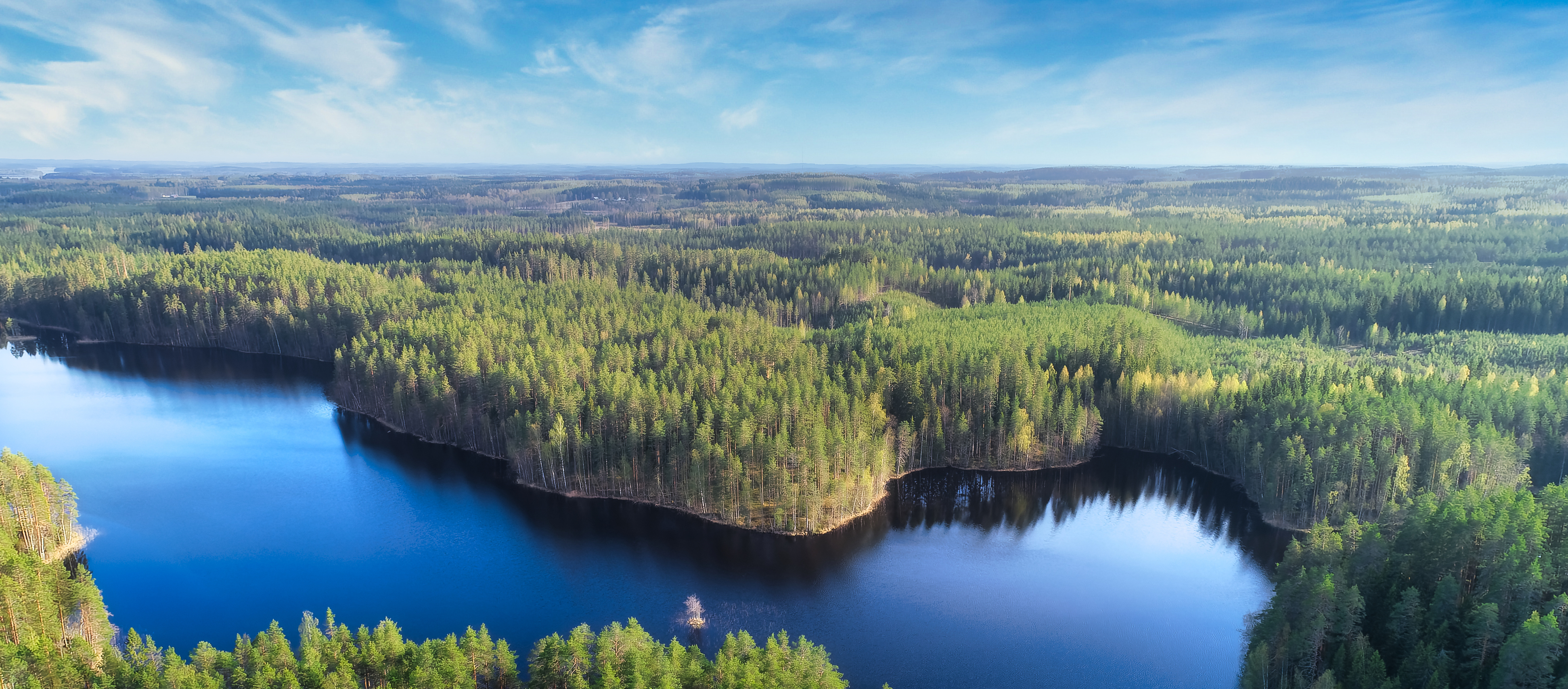 Huosion kirkkometsä Huosion kirkkometsän alue